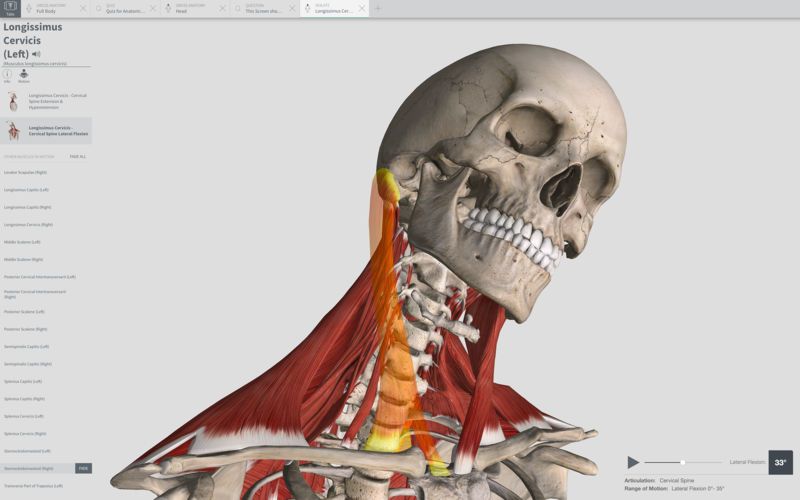 Complete Anatomy 2018 3.0 Mac OS X
