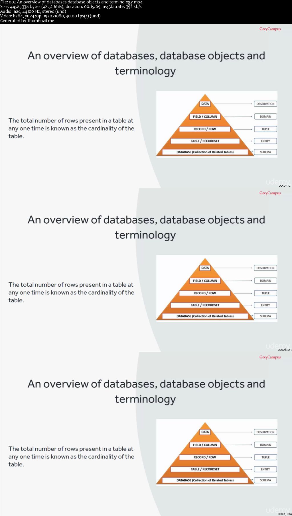 Lets welcome Ace - The Access Database Designer