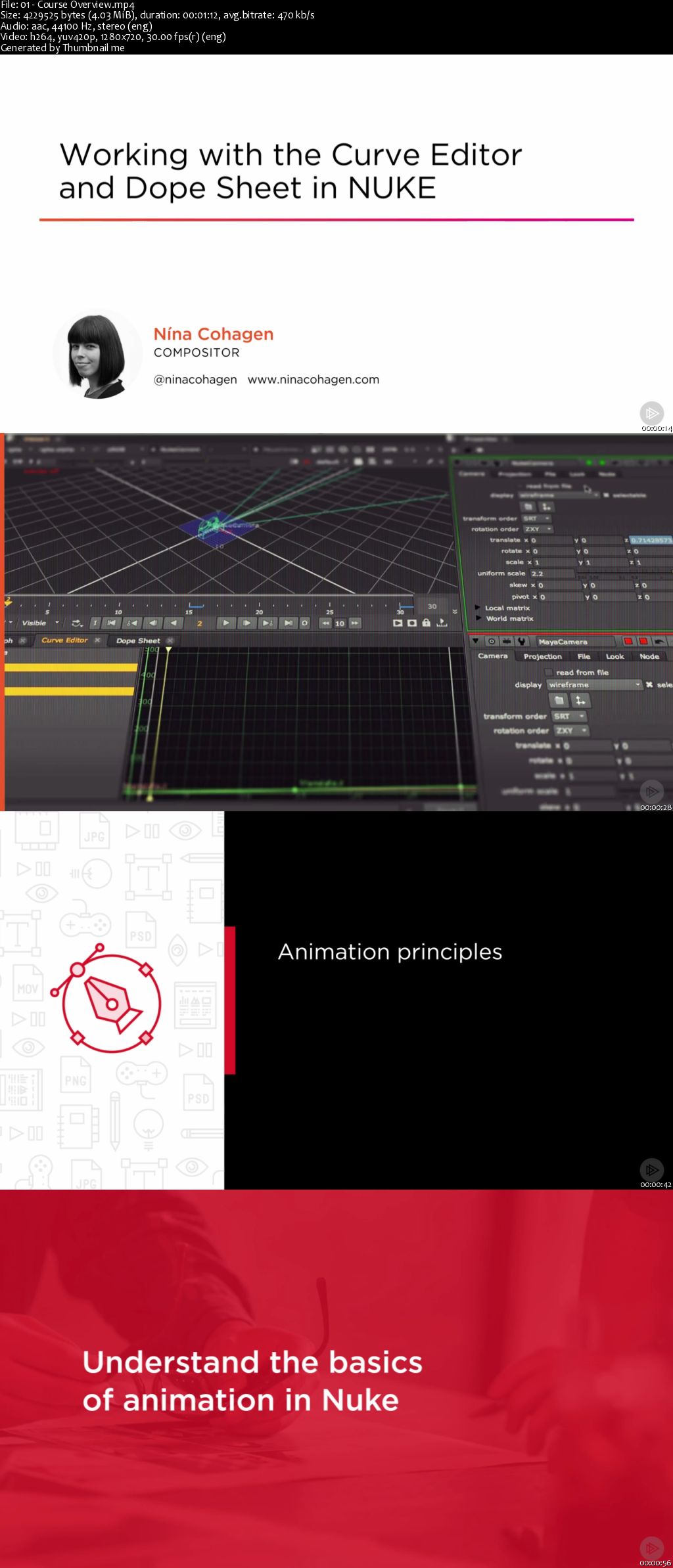 Working with the Curve Editor and Dope Sheet in NUKE