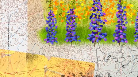 Painter 2017 Essential Training