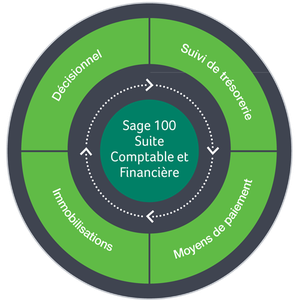 Sage 100C Entreprise Suite Comptable et Financiere i7 v2.00 Multilingual