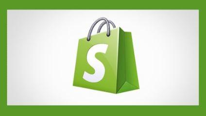 Shopify Domination - Set up a web store that makes sales