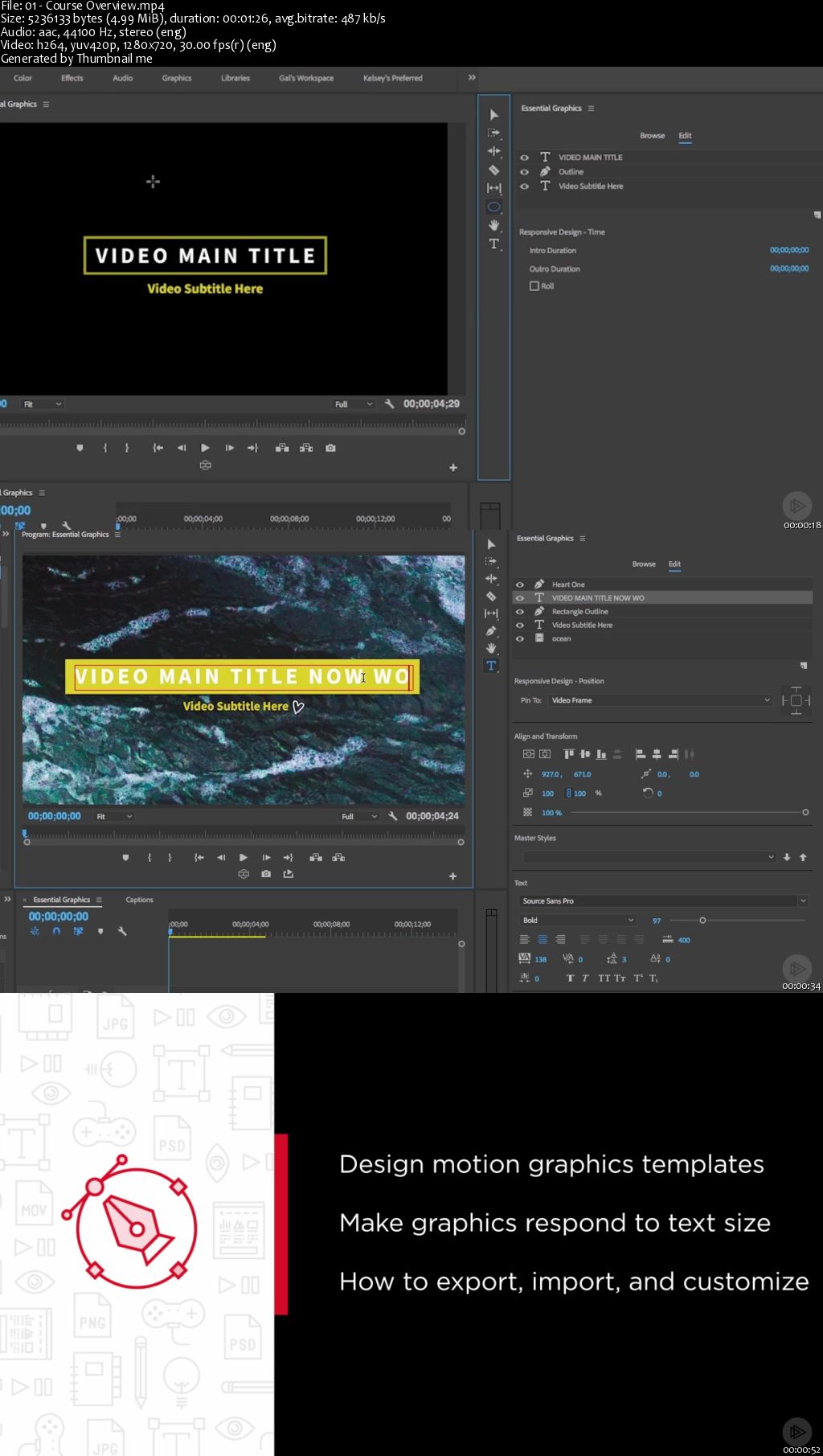 Premiere Pro CC Essential Graphics