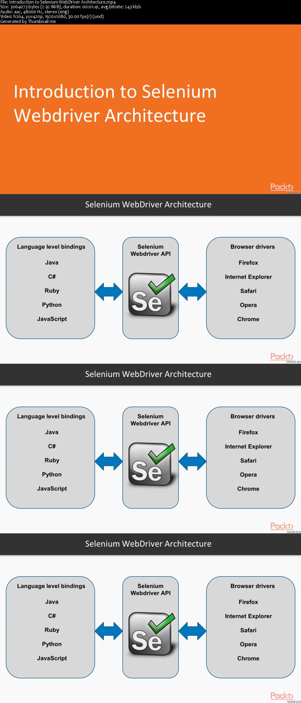 Dive into Core of Selenium Automation