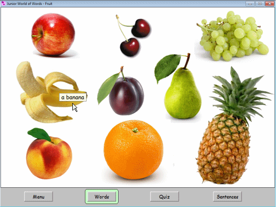 Junior World of Words 4.2.0.1 Multilingual