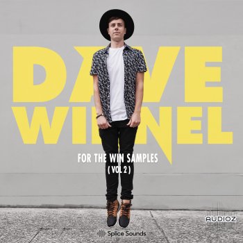 Dave Winnel For The Win Vol.2 WAV screenshot