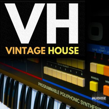 Studio Slave Vintage House WAV-DECiBEL screenshot