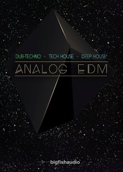 Big Fish Audio Analog EDM MULTiFORMAT screenshot