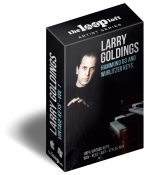 The Loop Loft Larry Goldings Vintage Keys Volume 1 WAV screenshot
