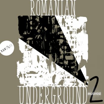 Raw Loops Romanian Underground 2 WAV screenshot