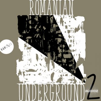 Raw Loops Romanian Underground 2 WAV