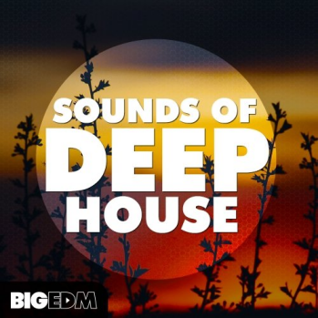 Big EDM Sounds Of Deep House WAV MiDi LENNAR DiGiTAL SYLENTH1 REVEAL SOUND SPiRE-DISCOVER screenshot
