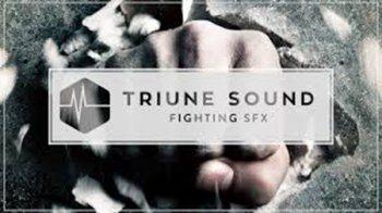 Triune Store Triune Sound Fighting SFX WAV screenshot