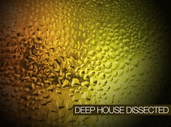 Groove3 Deep House Dissected TUTORiAL-SYNTHiC4TE screenshot