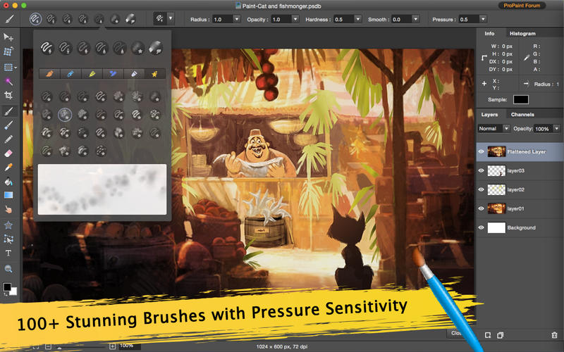 Pro Paint v3.6.0 MacOSX