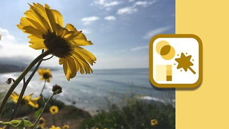 Lynda – Photoshop and Lightroom: Mobile, Desktop, and Cloud (updated Aug 01, 2017)