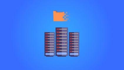 Beginner Data Analysis Using SQL and Microsoft SQL Server