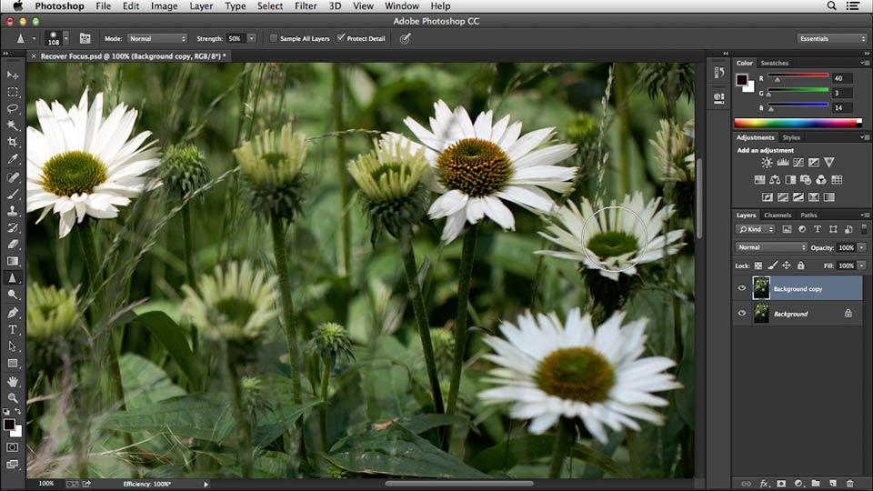 Lightroom and Photoshop: Noise Reduction and Sharpening