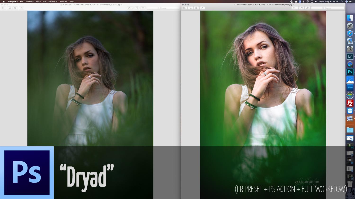 Skillshare – Workflow 2.3 Dryad