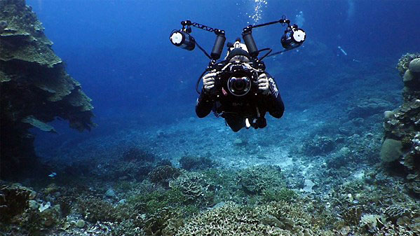 Lynda - Underwater Photography: Wide Angle