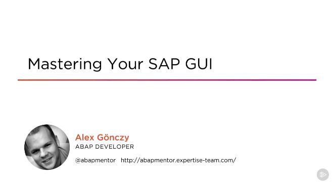 Mastering Your SAP GUI