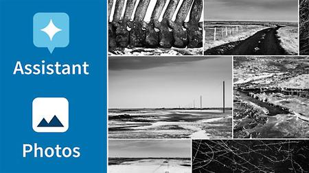 Lynda - Google Photos: Tips, Tricks, and Techniques