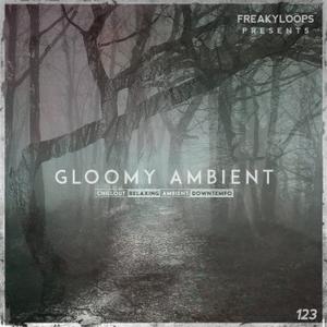 Freaky Loops Gloomy Ambient WAV