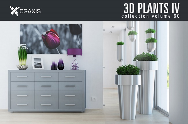 CGAxis Models Volume 60 – Plants IV