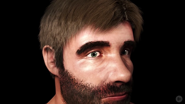 Maya Dynamics: nHair, Xgen, and Interactive Grooming