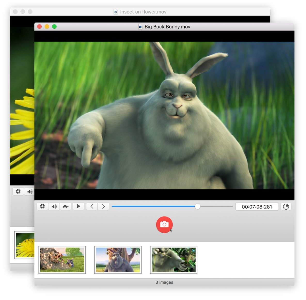 SnapMotion 3.0.1 Mac OS X
