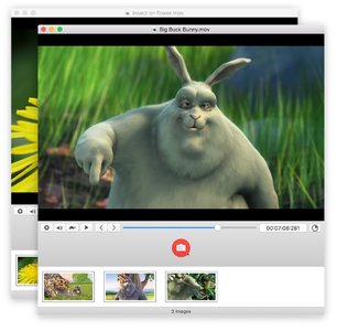 SnapMotion 3.1.4 MacOSX