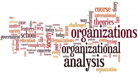 Coursera – Organizational Analysis