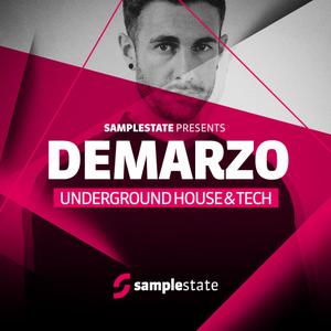 Samplestate Demarzo Underground House and Tech MULTiFORMAT