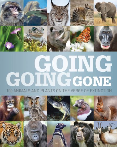 Going, Going, Gone-P2P