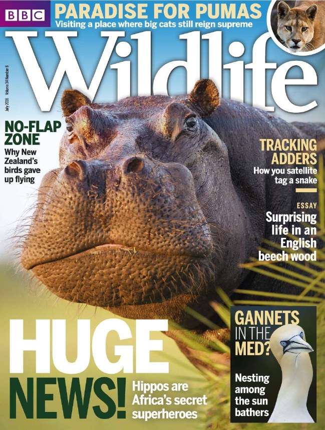 BBC Wildlife – July 2016-P2P