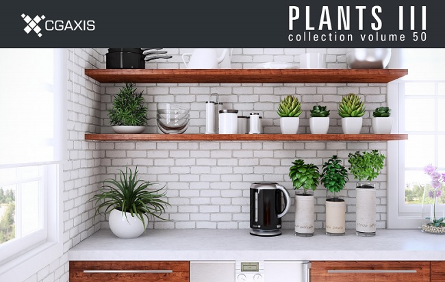 CGAxis Vol 50 Plants