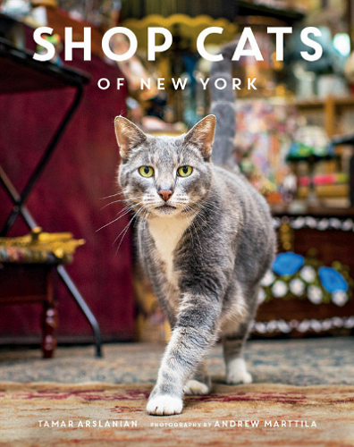 Shop Cats of New York-P2P
