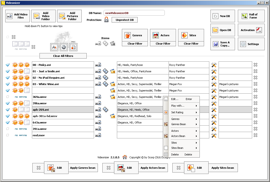 SUU Design Videonizer 3.0.0.3 Platinium