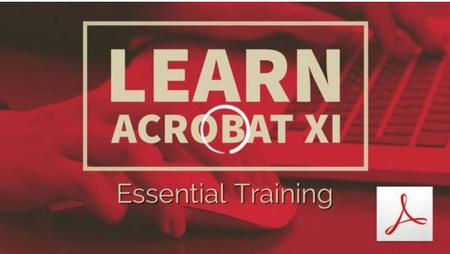 Learn Acrobat XI