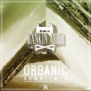 Rankin Audio – Organic Downtempo WAV