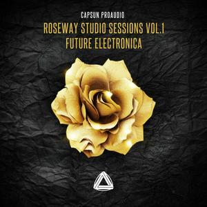 CAPSUN ProAudio – Roseway Studio Sessions Vol 1 – Future Electronica WAV