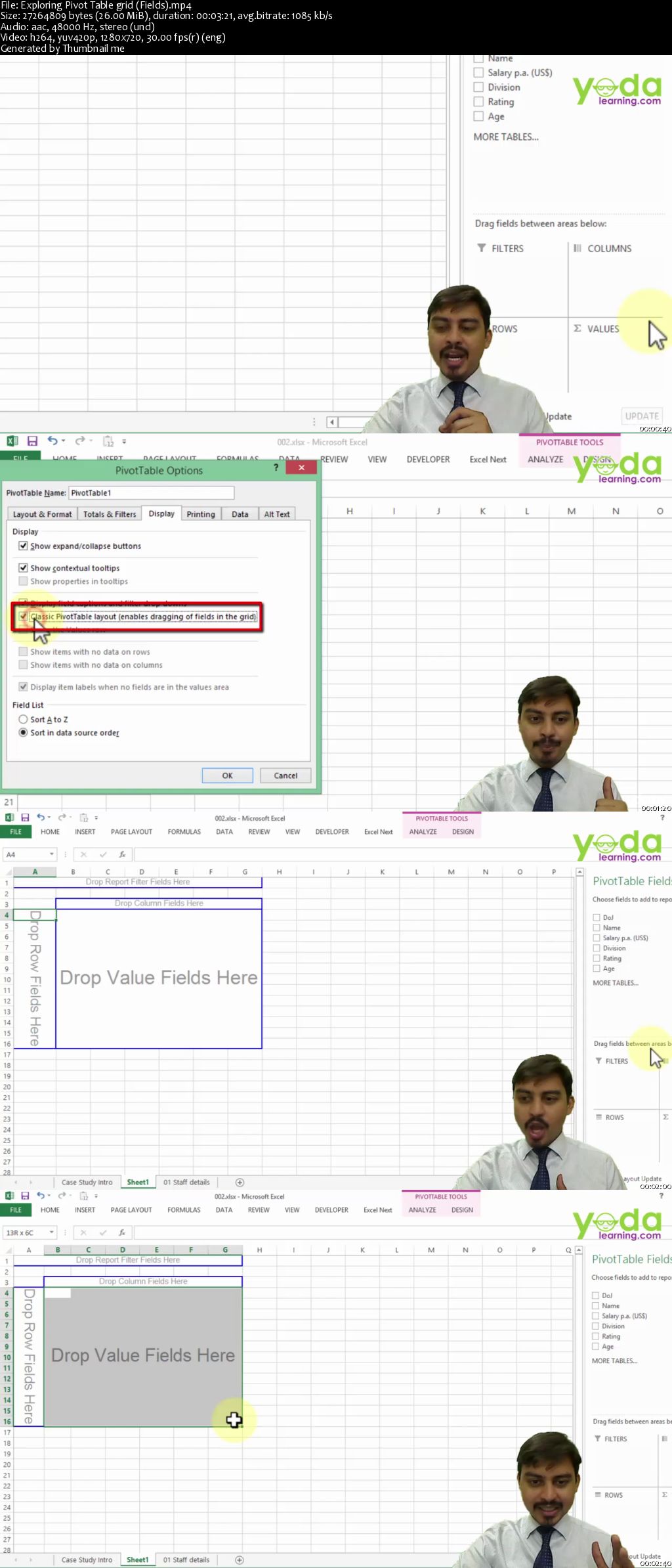 Excel Pivot Table: Grouping, Calcs, Slicer, Sparklines