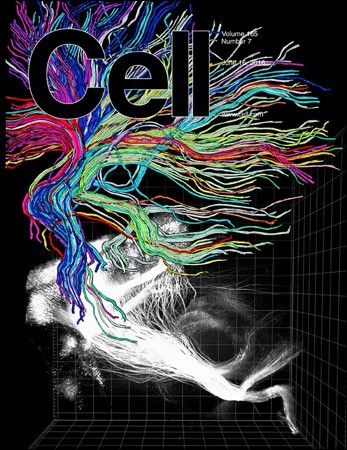 Cell – 16 June 2016-P2P