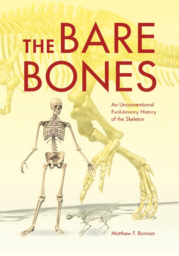 The Bare Bones: An Unconventional Evolutionary History of the Skeleton-P2P