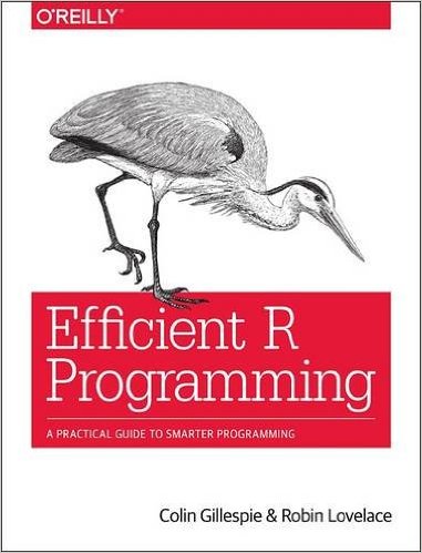 Efficient R Programming-P2P