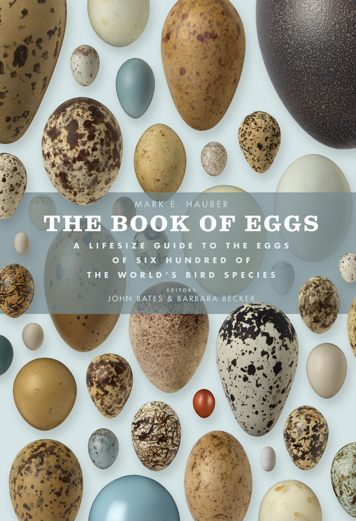 The Book of Eggs-P2P