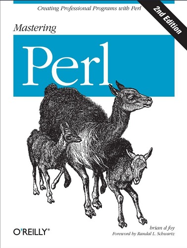 Mastering Perl-P2P