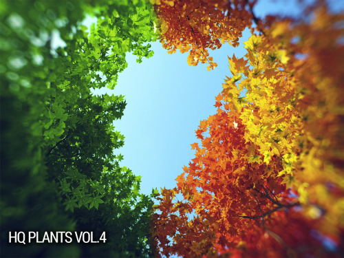 vrayc4d – HQ Plants vol.4 for Cinema4D