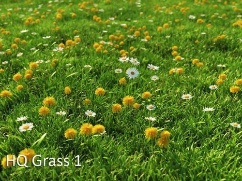 vrayc4d – HQ Grass vol.1 for Cinema4D