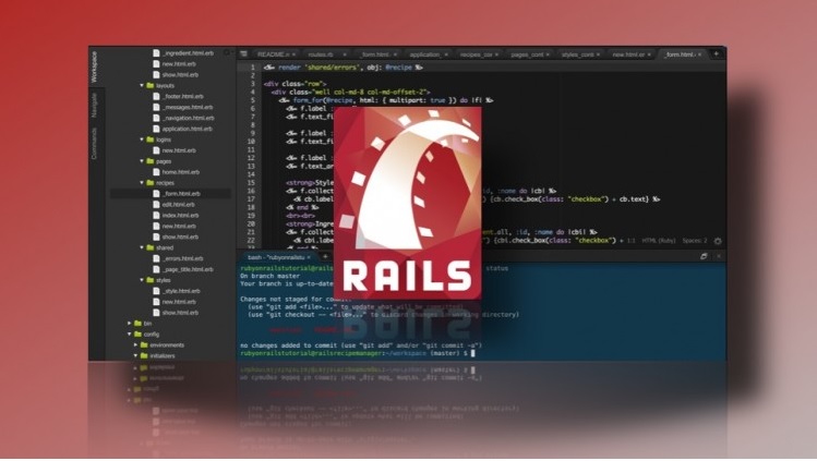 The Professional Ruby on Rails Developer [updated August 2015]